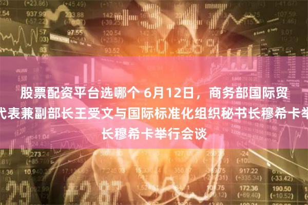 股票配资平台选哪个 6月12日，商务部国际贸易谈判代表兼副部长王受文与国际标准化组织秘书长穆希卡举行会谈
